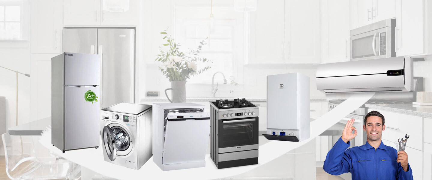 Arapgir Philips Servisi
